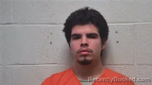 Mugshot of Johan Flores booked in Robertson County, Tennessee on July 29, 2026