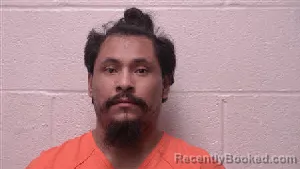 Mugshot of Jorge Francisco booked in Robertson County, Tennessee on July 29, 2026