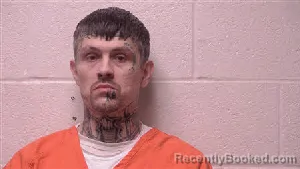 Mugshot of Matthew Shaun Fowler booked in Robertson County, Tennessee on July 29, 2026