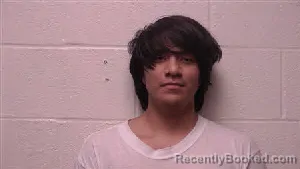 Mugshot of Angel Gosue Guzman booked in Robertson County, Tennessee on September 8, 2026