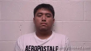 Mugshot of Brayan Amador Gonzalez booked in Robertson County, Tennessee on June 23, 2026