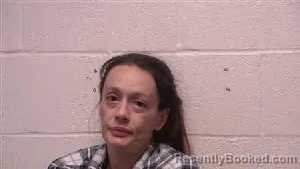 Mugshot of Chelsea Dawn Gammon booked in Robertson County, Tennessee on June 17, 2026