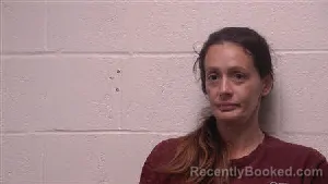 Mugshot of Chelsea Dawn Gammon booked in Robertson County, Tennessee on September 3, 2026