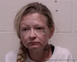 Mugshot of Kimberlee Nicole Gaus booked in Robertson County, Tennessee on October 20, 2026
