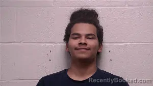 Mugshot of Luis Bucio Garcia booked in Robertson County, Tennessee on July 26, 2026