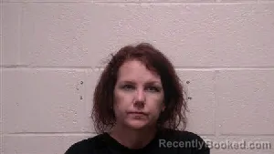 Mugshot of Nikkole Annette Gebers booked in Robertson County, Tennessee on September 9, 2026