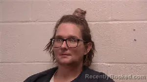 Mugshot of Amber Katia Hix booked in Robertson County, Tennessee on April 4, 2026