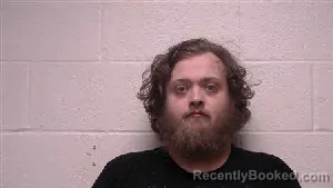 Mugshot of Danny Lee Harrison booked in Robertson County, Tennessee on July 29, 2026