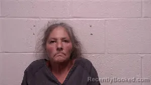 Mugshot of Gloria J Hogan booked in Robertson County, Tennessee on August 6, 2026