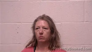 Mugshot of Heidi Tabitha Harris booked in Robertson County, Tennessee on September 16, 2026