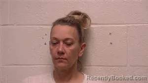 Mugshot of Jolene Rene Harvey booked in Robertson County, Tennessee on May 9, 2026