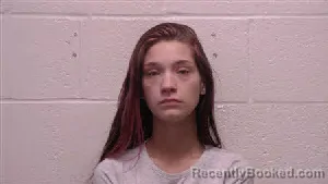 Mugshot of Skylar Harman booked in Robertson County, Tennessee on July 14, 2026
