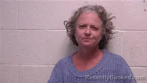 Mugshot of Ann Shepard Jalsa booked in Robertson County, Tennessee on May 14, 2026