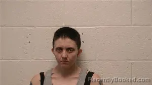 Mugshot of Hanna Sue Jones booked in Robertson County, Tennessee on June 22, 2026