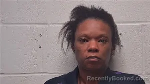 Mugshot of Kristen Nicole Jenkins booked in Robertson County, Tennessee on September 4, 2026