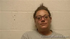 Mugshot of Kelli Ann Jackson booked in Robertson County, Tennessee on April 15, 2026