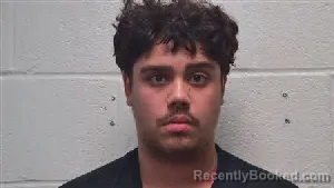 Mugshot of Caleb Michael Landaverde booked in Robertson County, Tennessee on June 4, 2026