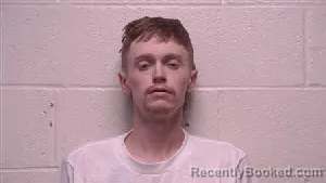 Mugshot of Dalton Powell Long booked in Robertson County, Tennessee on May 12, 2026