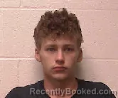 Mugshot of Tristain Edward Lemley