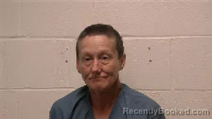 Mugshot of Chasity Louise McDowell booked in Robertson County, Tennessee on July 5, 2026