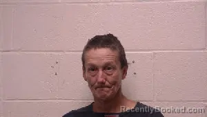 Mugshot of Chasity Louise Mcdowell-Farler booked in Robertson County, Tennessee on September 17, 2026