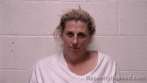 Mugshot of Connie Abigail Mcgehee booked in Robertson County, Tennessee on October 20, 2026