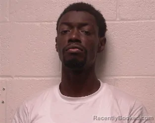 Mugshot of Fedem Moise booked in Robertson County, Tennessee on July 28, 2026