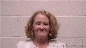 Mugshot of Joanna Christine Metzroth booked in Robertson County, Tennessee on June 24, 2026