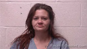 Mugshot of Kristina D McCoy booked in Robertson County, Tennessee on June 18, 2026