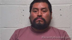 Mugshot of Raul Matariegos booked in Robertson County, Tennessee on June 8, 2026