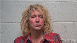 Mugshot of Rebecca Louise Moes booked in Robertson County, Tennessee on July 28, 2026