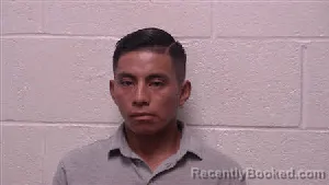 Mugshot of Ronal Alexander Miranda booked in Robertson County, Tennessee on July 13, 2026