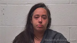 Mugshot of Alana R Noles booked in Robertson County, Tennessee on September 17, 2026