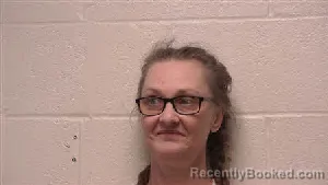 Mugshot of Andrea Kathleen Phillips booked in Robertson County, Tennessee on June 12, 2026