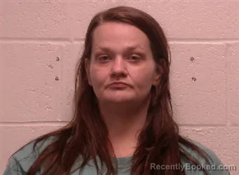 Mugshot of Amber Deann Pulley booked in Robertson County, Tennessee on July 28, 2026