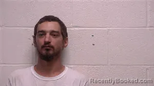 Mugshot of Brandon James Petitti booked in Robertson County, Tennessee on July 26, 2026