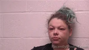 Mugshot of Kayla Nicole Peck booked in Robertson County, Tennessee on June 8, 2026