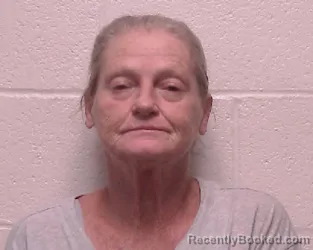 Mugshot of Penny Michelle Pitt booked in Robertson County, Tennessee on September 3, 2026
