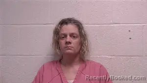 Mugshot of Reana Nicole Price booked in Robertson County, Tennessee on August 3, 2026