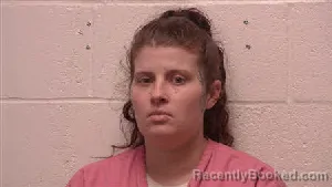 Mugshot of Alexis D Roberts booked in Robertson County, Tennessee on July 6, 2026