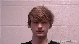 Mugshot of Anthony David Redwine booked in Robertson County, Tennessee on April 16, 2026