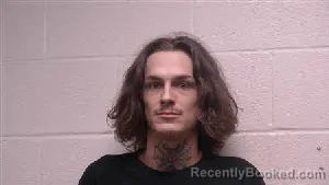 Mugshot of Brandon Austin Riley booked in Robertson County, Tennessee on August 17, 2026
