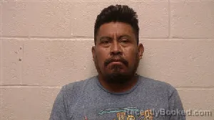 Mugshot of Jose Angel Ramirez-Camaja booked in Robertson County, Tennessee on June 16, 2026
