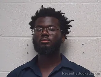 Mugshot of Mckinsley Cory Ruffin booked in Robertson County, Tennessee on September 22, 2026