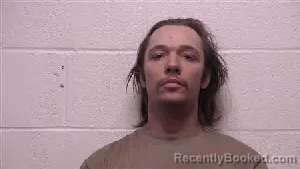 Mugshot of Sean Matthew Radford booked in Robertson County, Tennessee on April 15, 2026