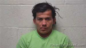Mugshot of Henry Adolfo Sanchez-Garcia booked in Robertson County, Tennessee on June 24, 2026
