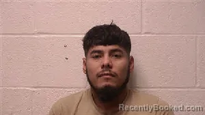 Mugshot of Jesus Geovanny Panchillo Salas booked in Robertson County, Tennessee on August 11, 2026