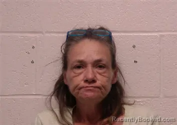 Mugshot of Sheilah Gayle Scribner booked in Robertson County, Tennessee on July 27, 2026