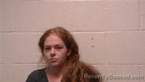 Mugshot of Diamond Danielle Toon booked in Robertson County, Tennessee on August 6, 2026