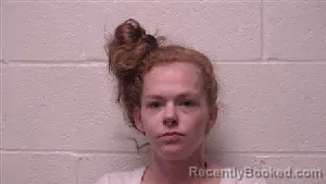 Mugshot of Diamond Danielle Toon booked in Robertson County, Tennessee on August 7, 2026
